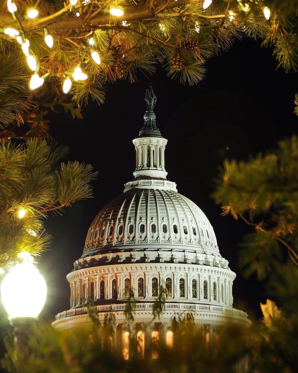 riggshotel's tweet photo. It’s beginning to look a lot like Christmas in DC and while this year’s festivities will be rather different than previous years, we look forward to welcoming you throughout the holiday season. 

The Capitol building beautifully captured by @s0cal and also admired by @igdc https://t.co/tKwQxliP6f
