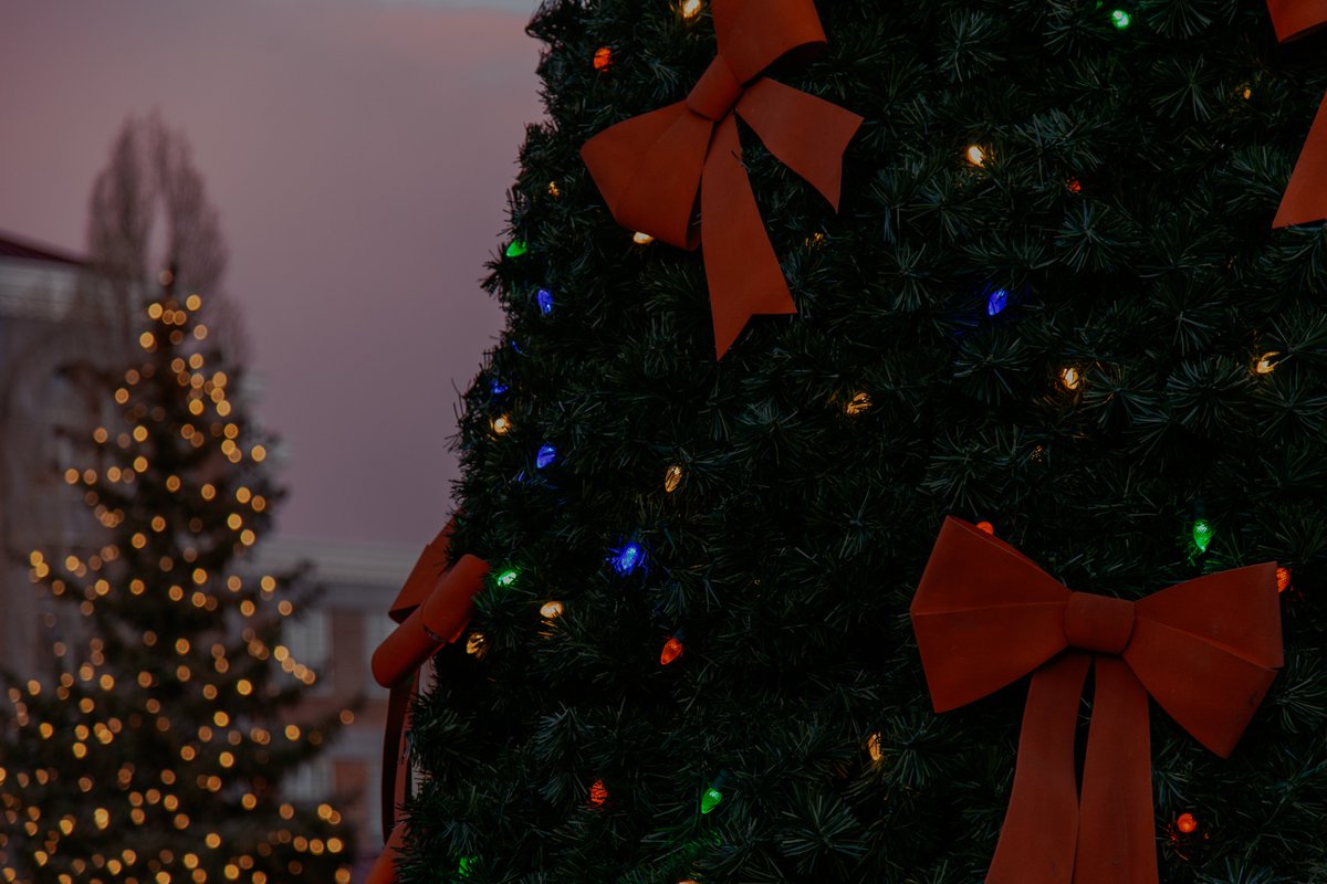NAU's tweet photo. It's beginning to look a lot like Christmas 🎵 https://t.co/HyH45kv1hU