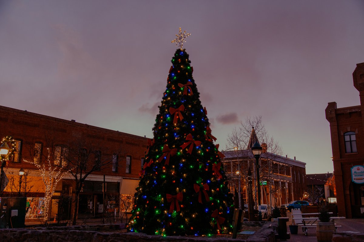 NAU's tweet photo. It's beginning to look a lot like Christmas 🎵 https://t.co/HyH45kv1hU