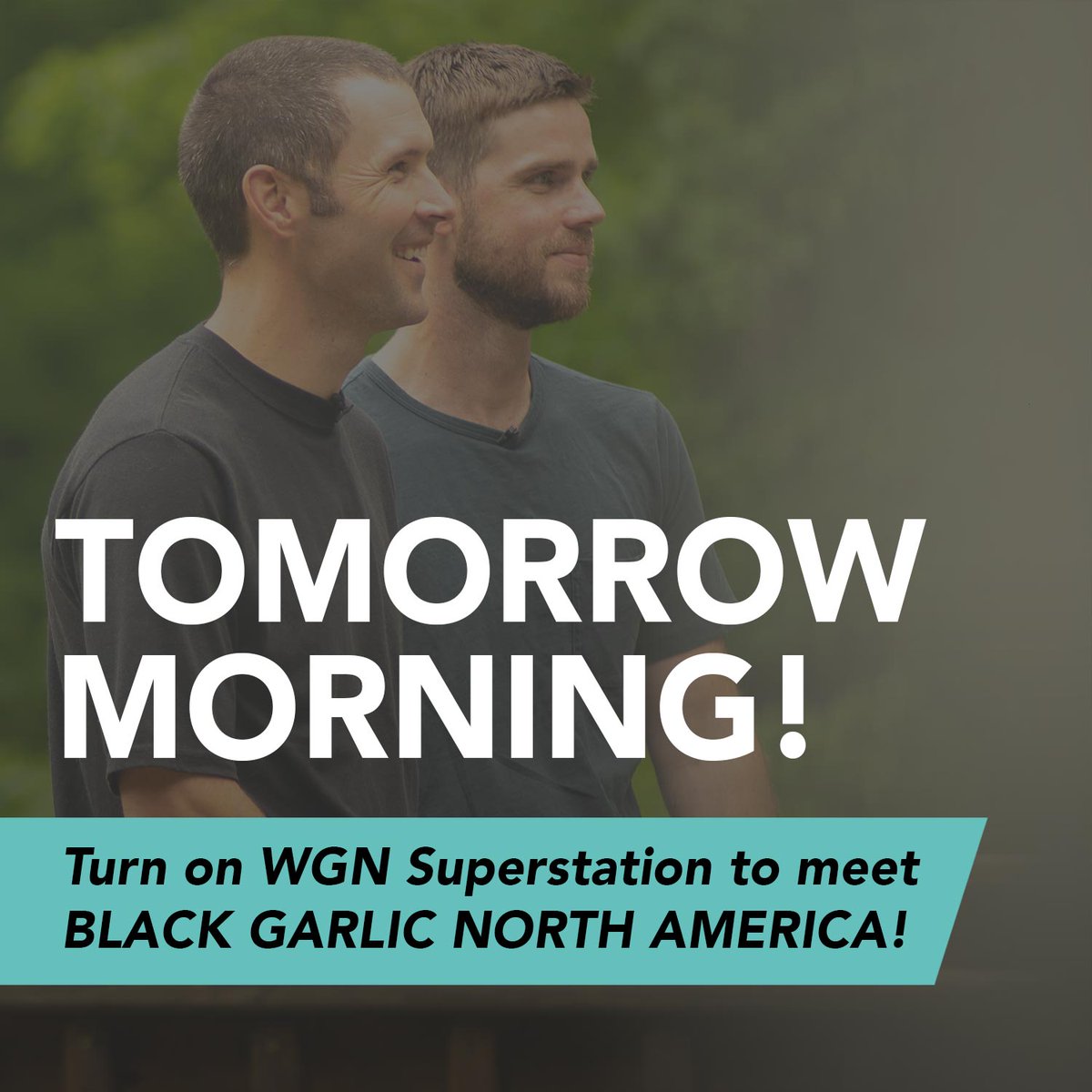 Black Garlic North America tweet media