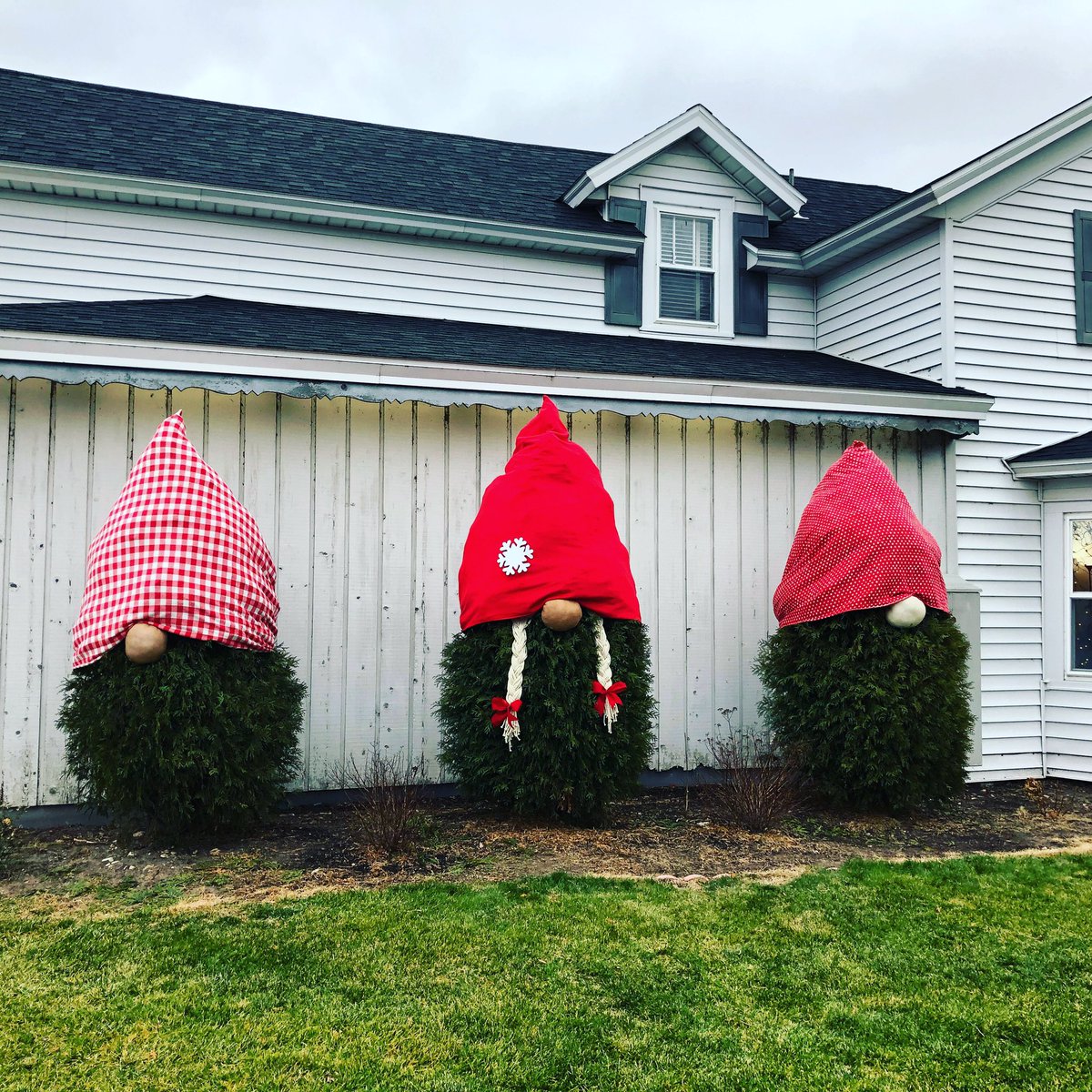 We have some new friends in the village ☺️