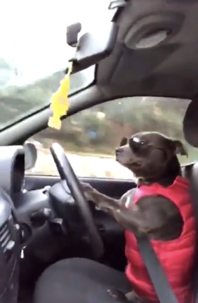 MP4_Plug's tweet image. 