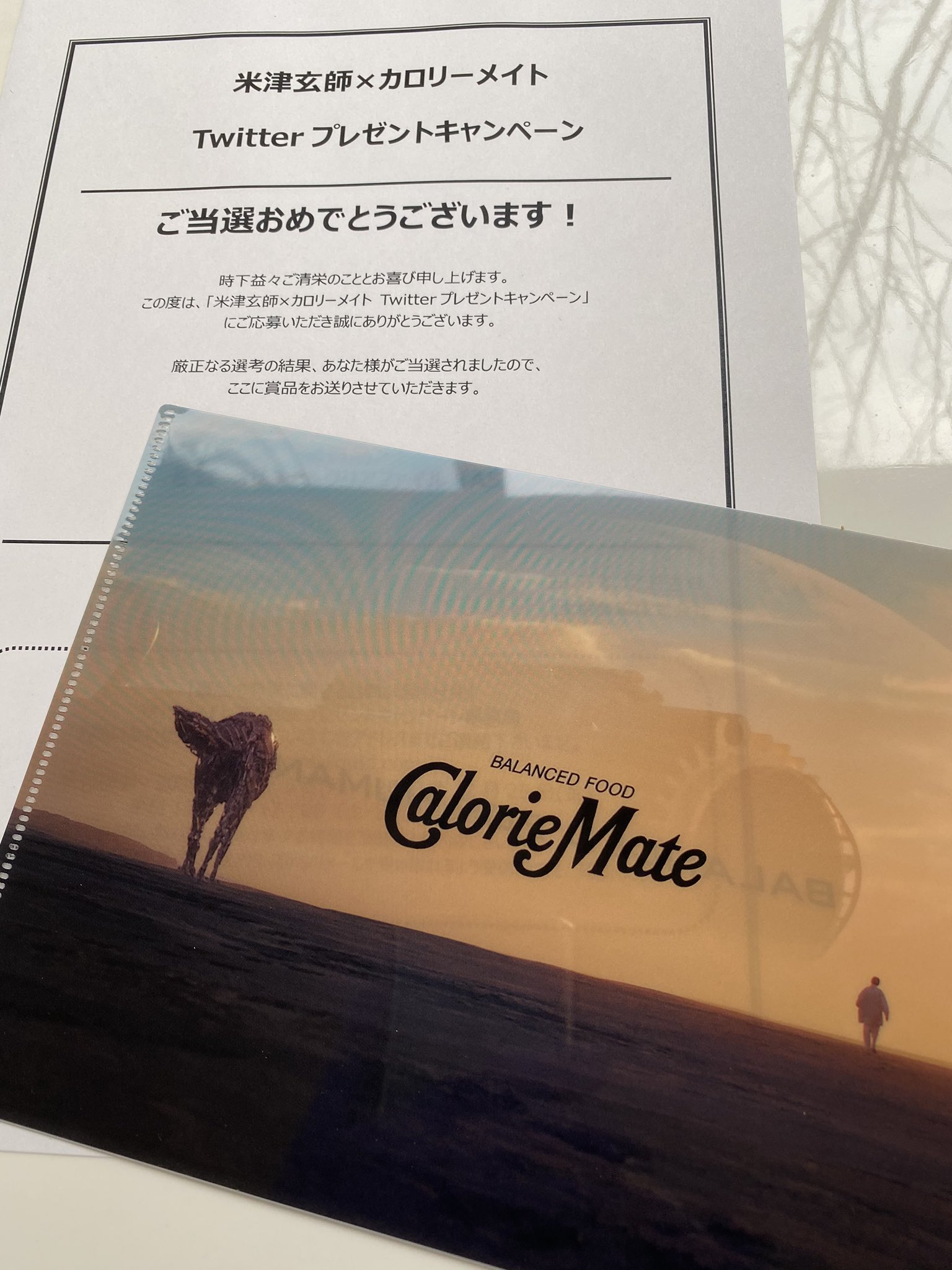 ディスカウントディスカウントカロリーメイト当選ポスター クリア