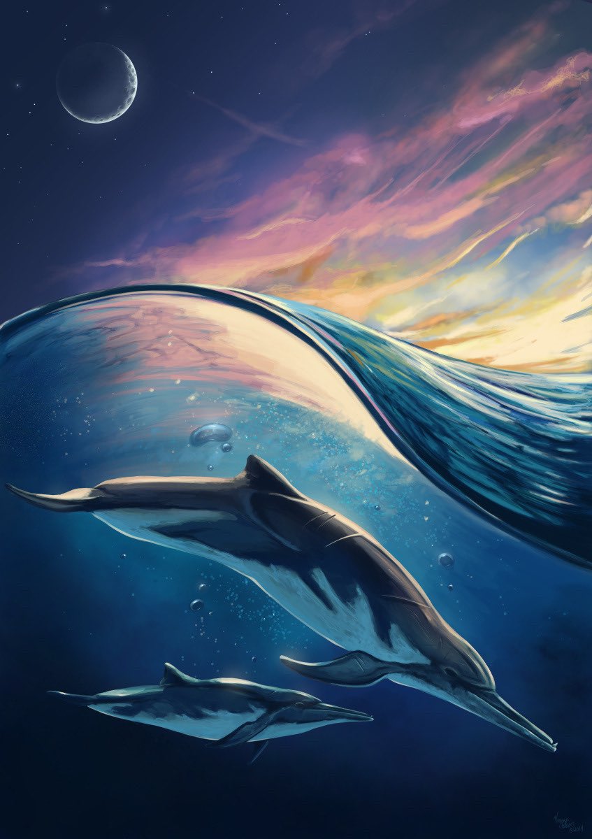 seabeast's tweet photo. Messapicetus Gregarius, an ancient cetacean.
#Paleoart #cetacean https://t.co/iTv9xcX7zK