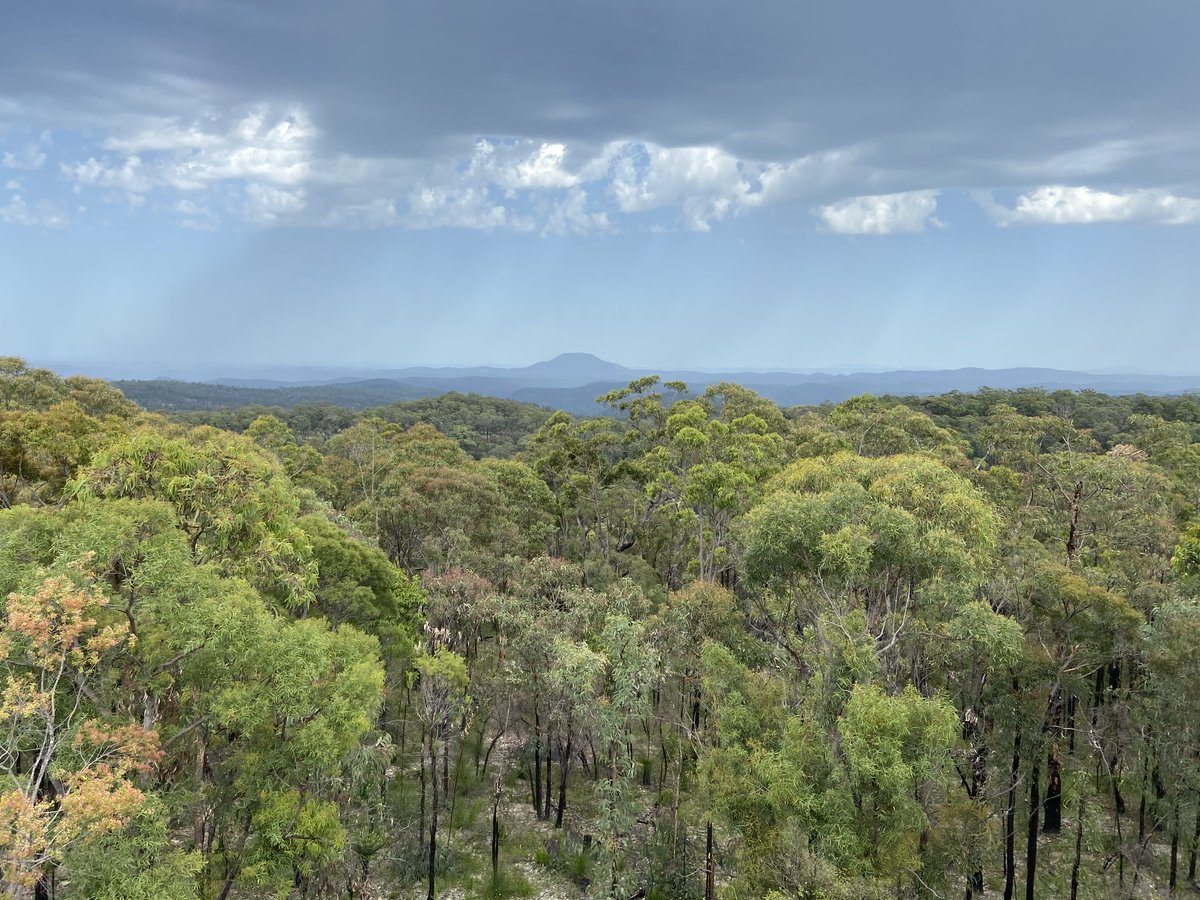 IndigenousX's tweet photo. Recently our team visited gorgeous #wonnarua country to visit the #mapping site at #yengo to connect. It's important that not only do we provide a safe space for our students, that we nurture our staff. #lookafterourmob https://t.co/uGbvJGiQI0