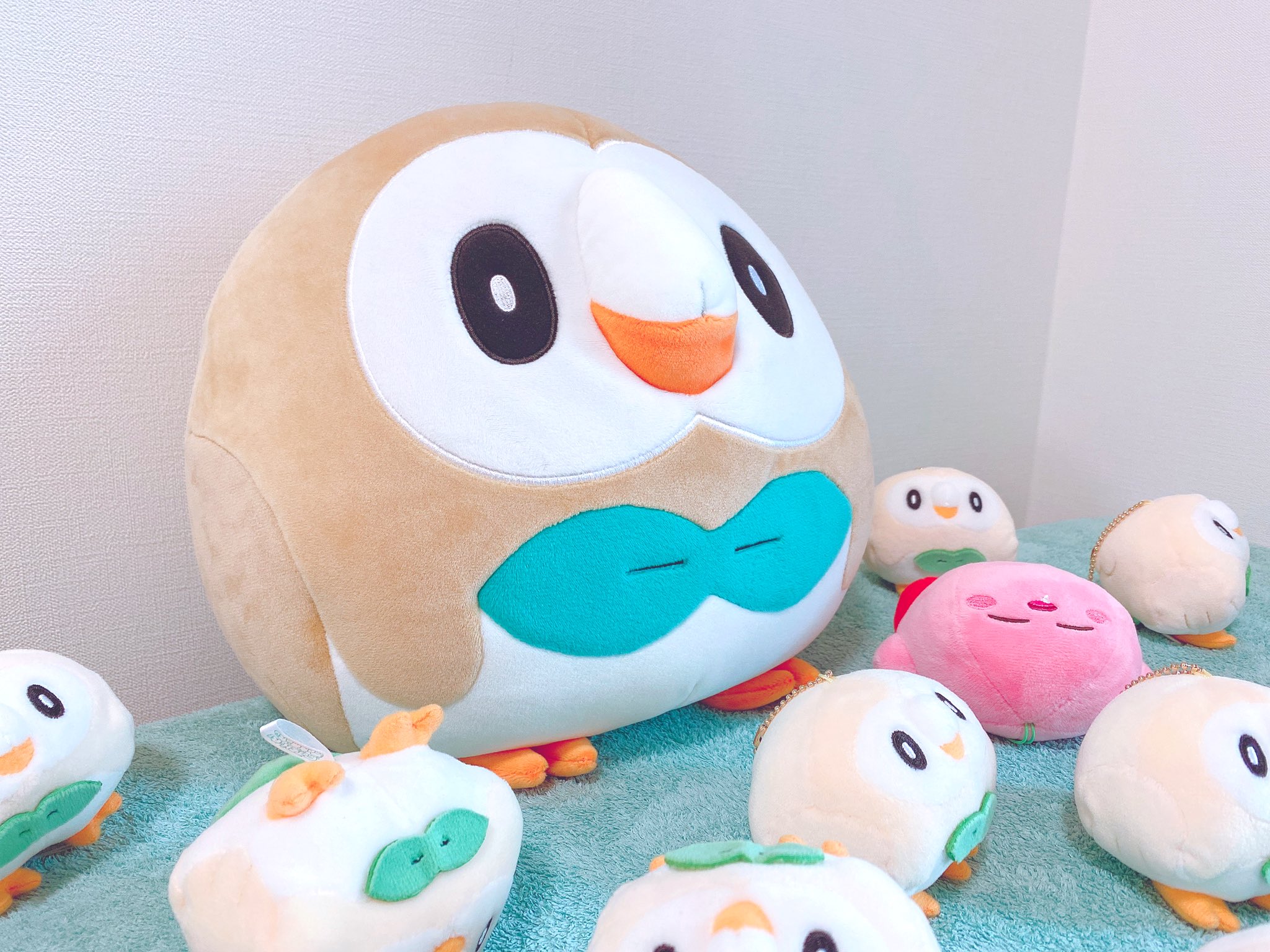もっちりまんまるクッション フワンテ(もちもちフワフワな もっちりまんまるクッション フワンテ(もちもちフワフワな
