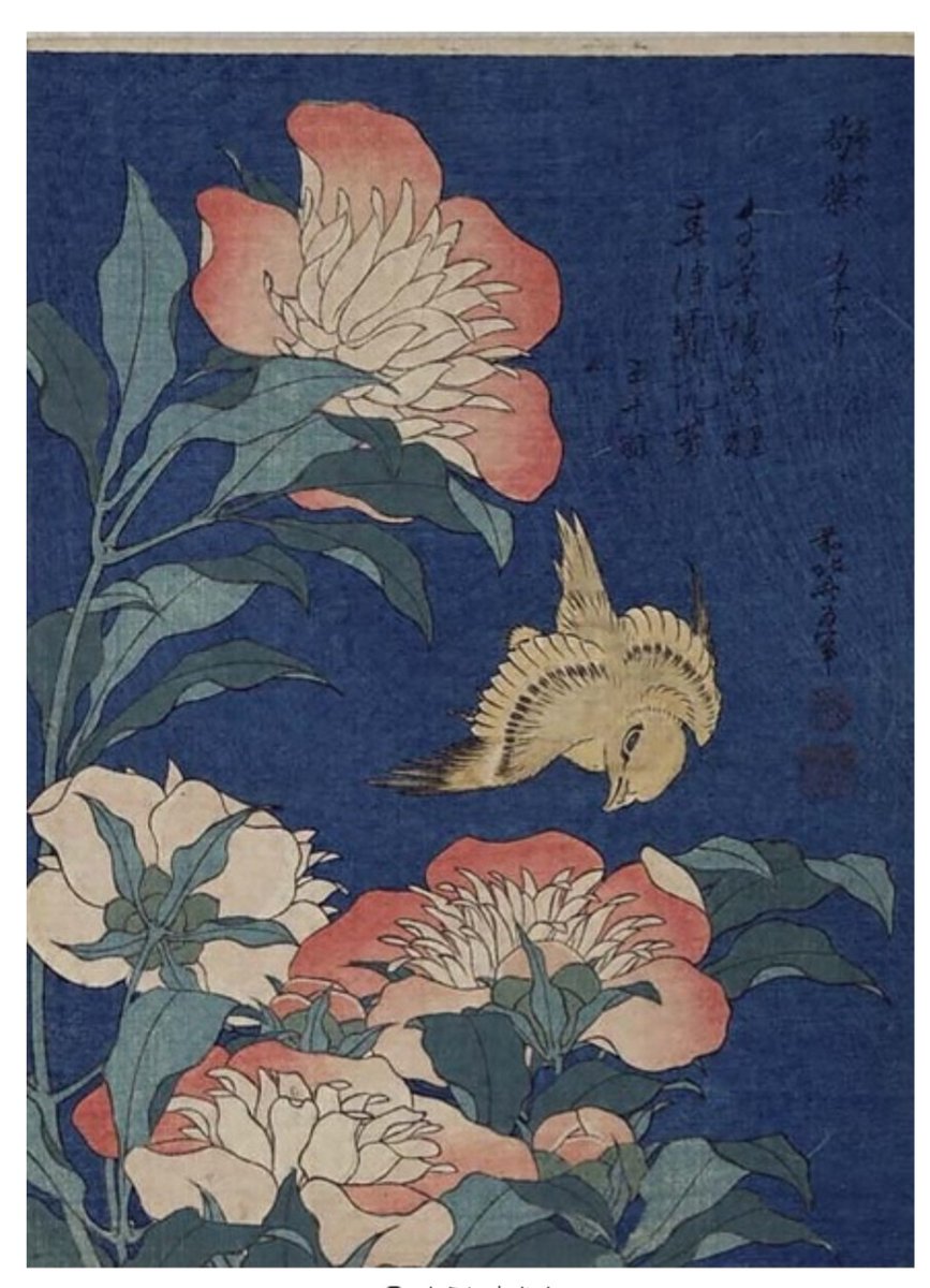 美品ダイアナ 絵画シリーズ 葛飾北斎 芍薬カナアリ ポインテッド