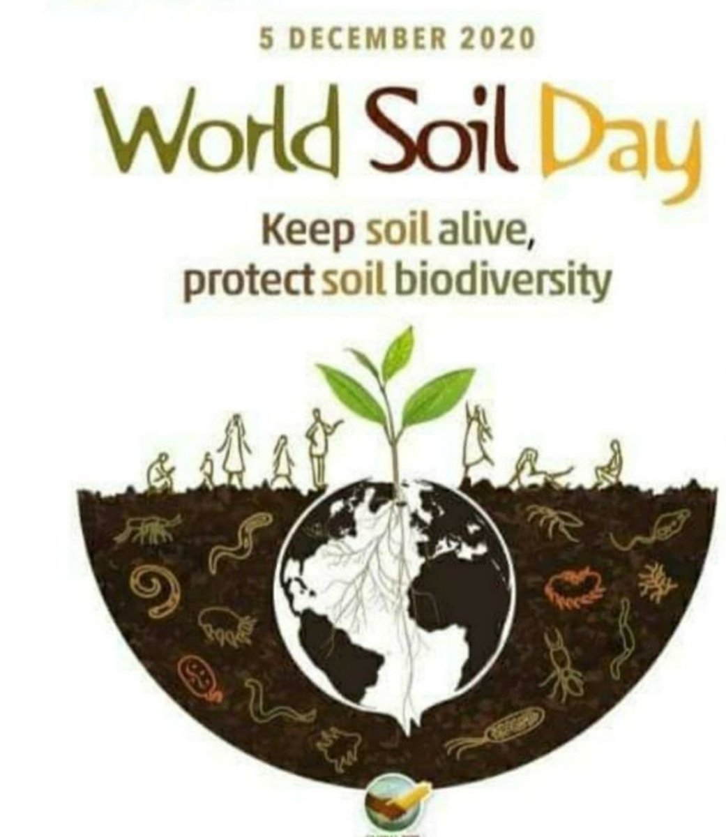 Dr. Shivam T. Bhatt (@drshivamtbhatt1) on Twitter photo 
