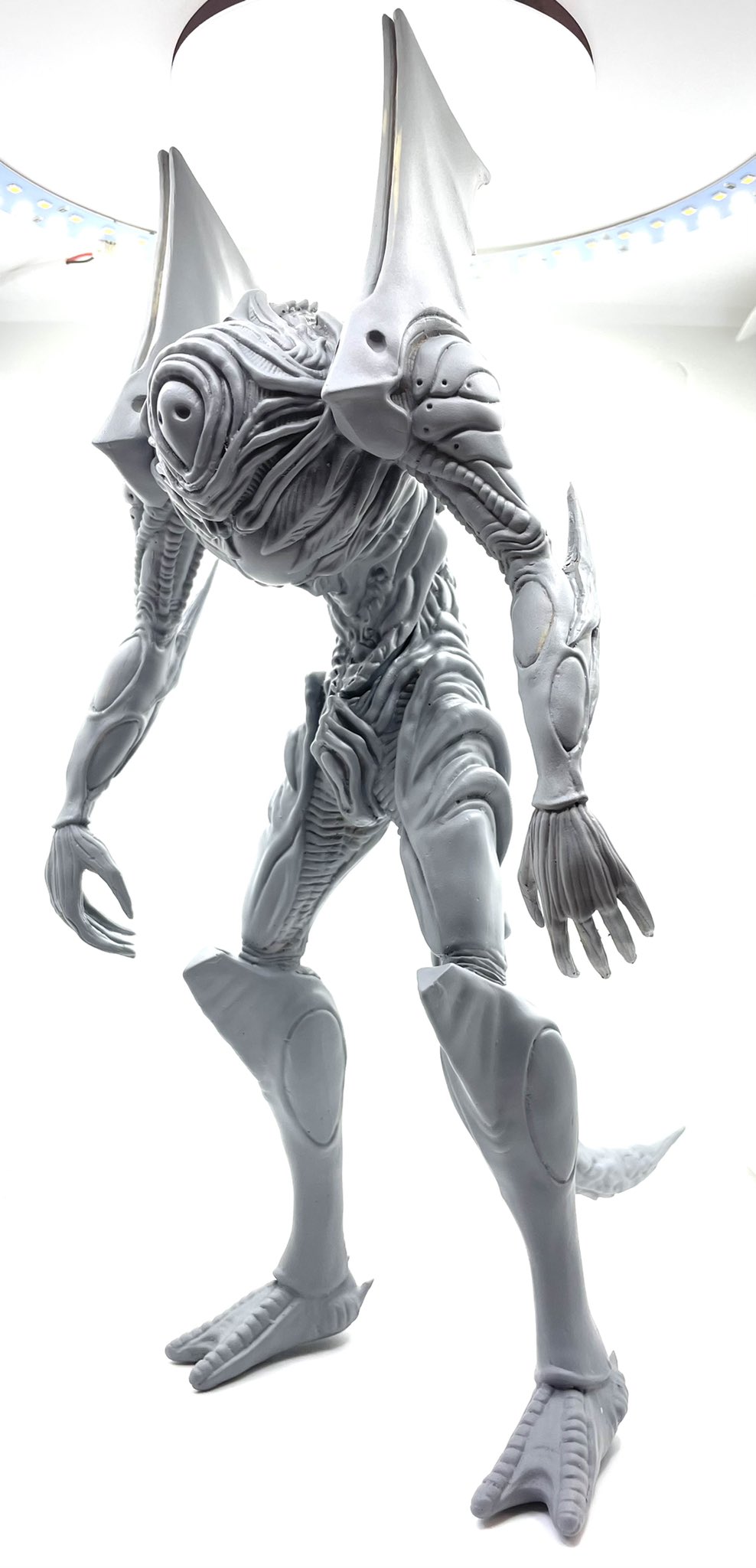 GYAROMI on X: GYAROMI on X: