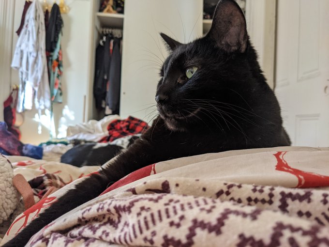 FeministFucktoy .99 OnlyFans 👋's pics and videos - Eoc1qVOXEAIjOS1 jpg:small image 28