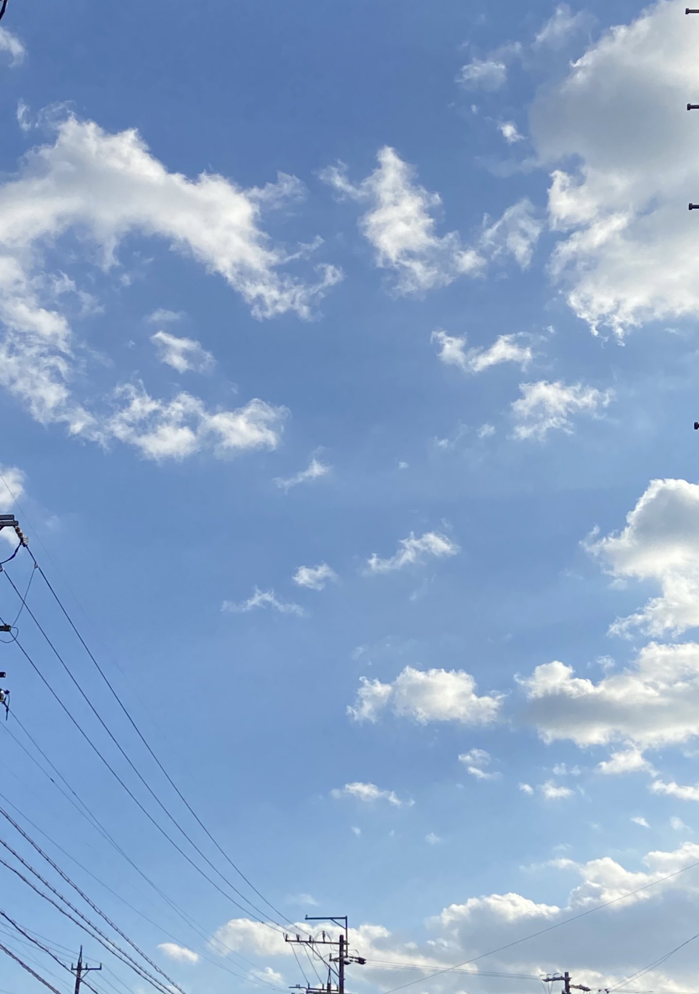 晴れの空 Twitter Search Twitter