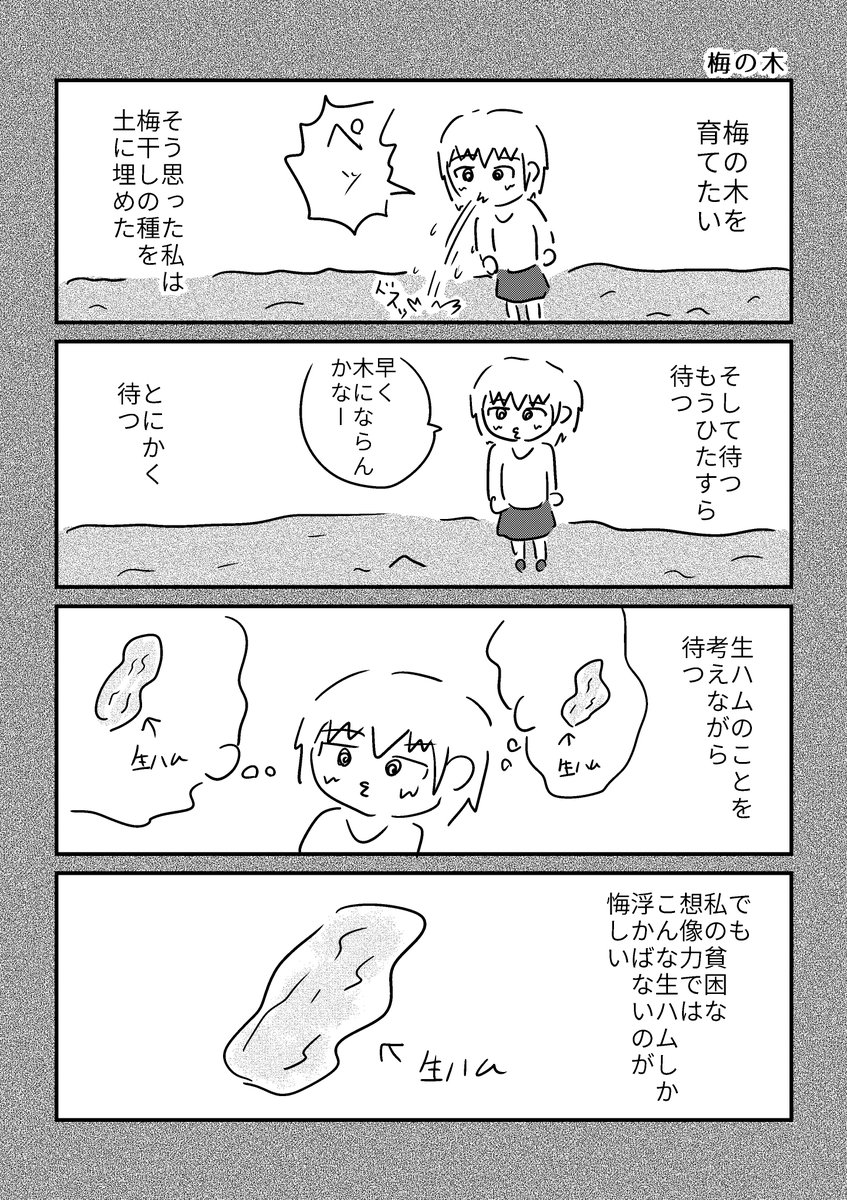 梅の木を育てたい人の漫画です。(4ページ) 