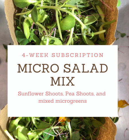 Quantum Microgreens tweet media