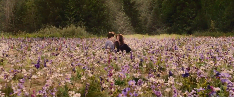 the meadow scenes in twilight are equivalent to the rooftop scenes in high school musical