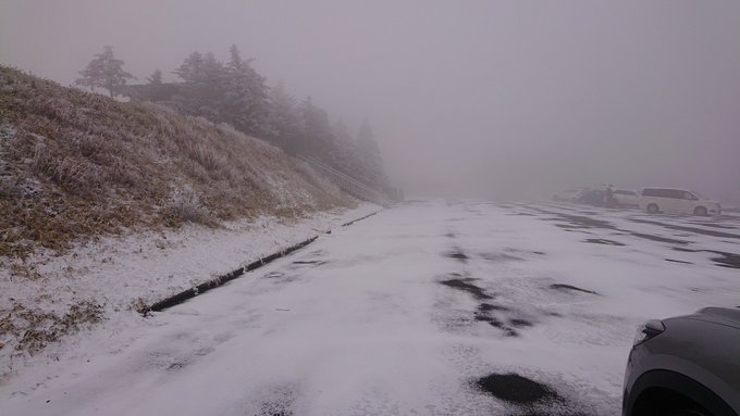 ひゃー!雪じゃー!! 