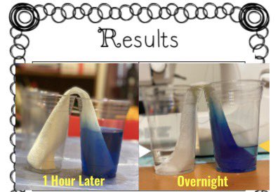 CaitandFitz's tweet image. I was ecstatic this morning to see that a student tried the experiment we worked on all week on his own! #PHESpride #AACPSAwesome @PHESGrade2