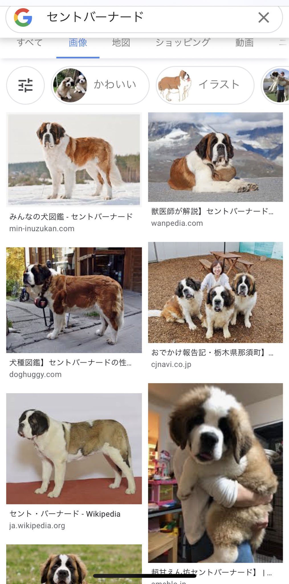 تويتر 平田 樹 على تويتر この犬飼う夢見た T Co Opdjnz7uj7