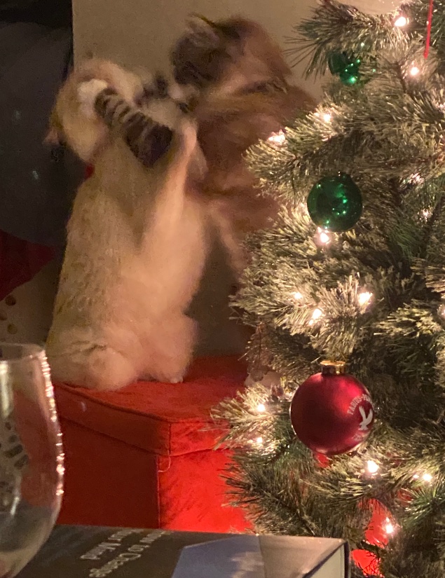 amy et al. (@peachofababy) on Twitter photo 