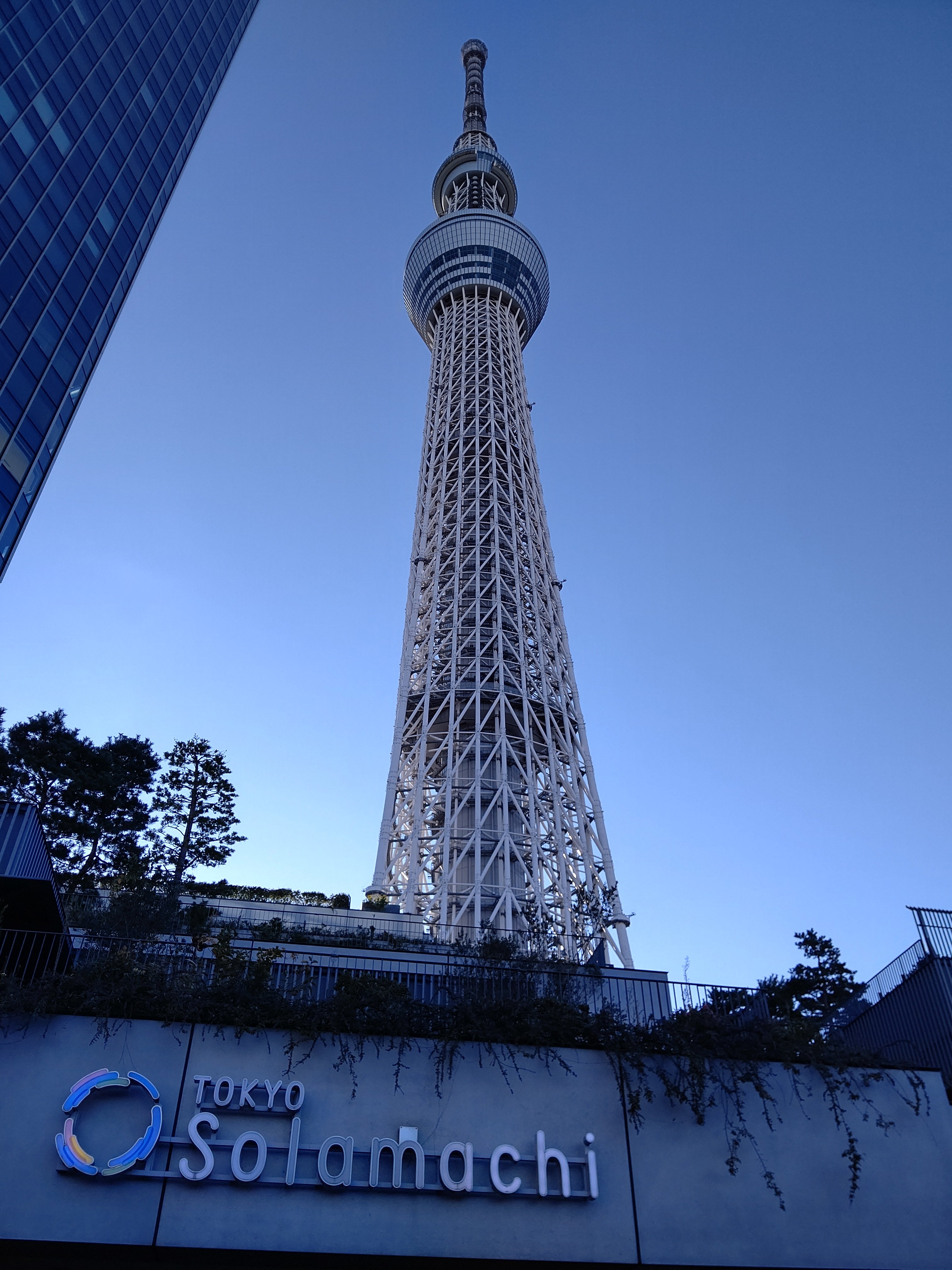 たじまーる すとぷりアリーナツアー決定 ネコバスとトトロに 会いました ジブリがいっぱいどんぐり共和国 となりのトトロ ネコバス トトロ 東京ソラマチ 東京スカイツリー T Co Fupfrrlknv Twitter