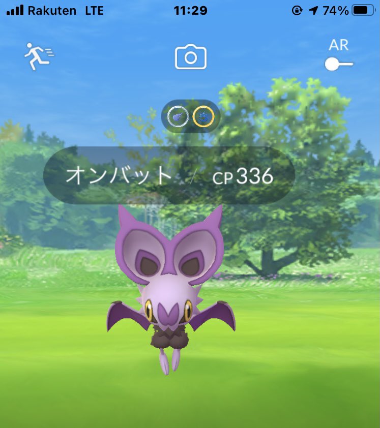 Misaki 美岬 ぎゃーー 自宅ソースに超絶レアポケモンのオンバットが出たァ ニアバイに出ない状態でバタバタ飛んでるのが居たからズバットかと思ったけど少し色が違うなぁとタップしてびっくり仰天 驚きすぎて手がぶるぶる震えた まだドキドキし