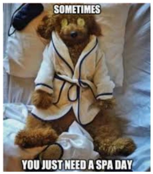 BridgJohnson's tweet photo. @MarlonJBlake @BAACC_CSU Once a month
#selfcare https://t.co/ieM7lHO3ax