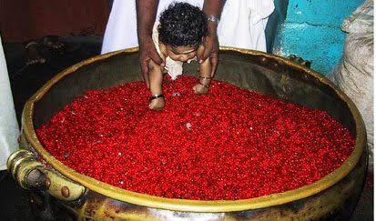 In memory of her offering, even to this day, a large urn of shiny red seeds is kept within the temple. It is believed that those who play with this Manjadikuru will be relieved from all diseases. Hare Krishna  @IndiaTales7  @DivineElement  @BharatTemples_  @temples_hindu