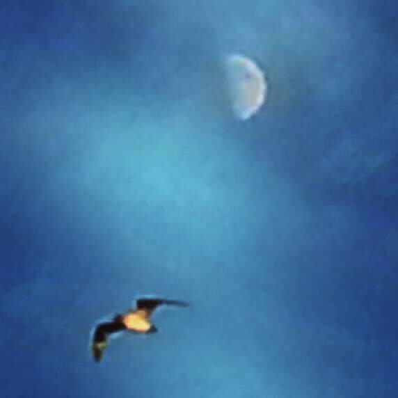RareCat's tweet photo. Praise God for His blessings that are on the way!
Even if you can't see them from your human perspective, know that good things are coming.
#HeIsALovingGod
#HABN โฎโค๐๐ https://t.co/DdQPmu9TGr