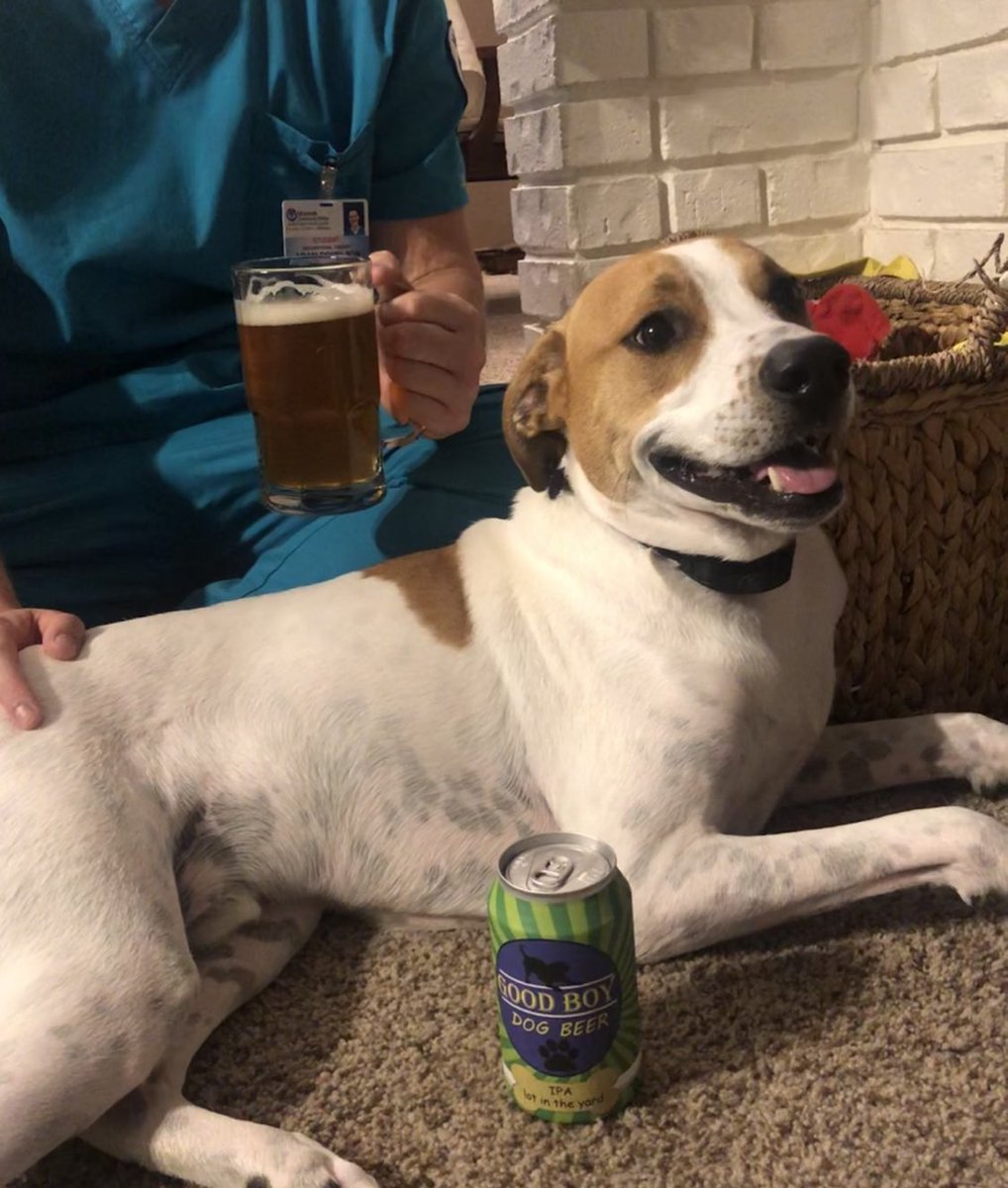 ellliemaria's tweet photo. year 2 (beer with dad and drag vito) https://t.co/NBrf9PctqA