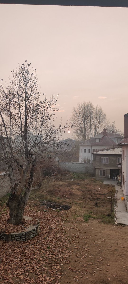 leen_raina's tweet photo. Evening views backside my office.
📍Srinagar,J&amp;K https://t.co/wK2auqo3pn