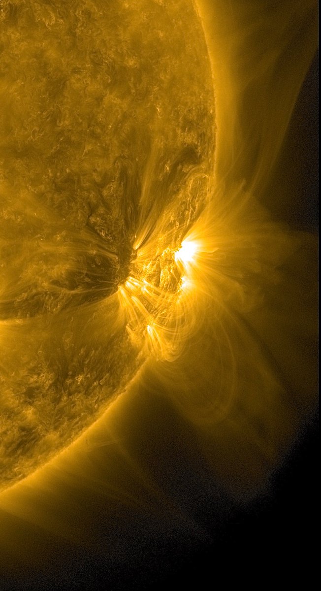 Und damit guten Morgen allerseits - wie immer mit einem Livebild der Sonne via Satellit SDO. Kommt an- und abständig gut durch den Tag! 😷