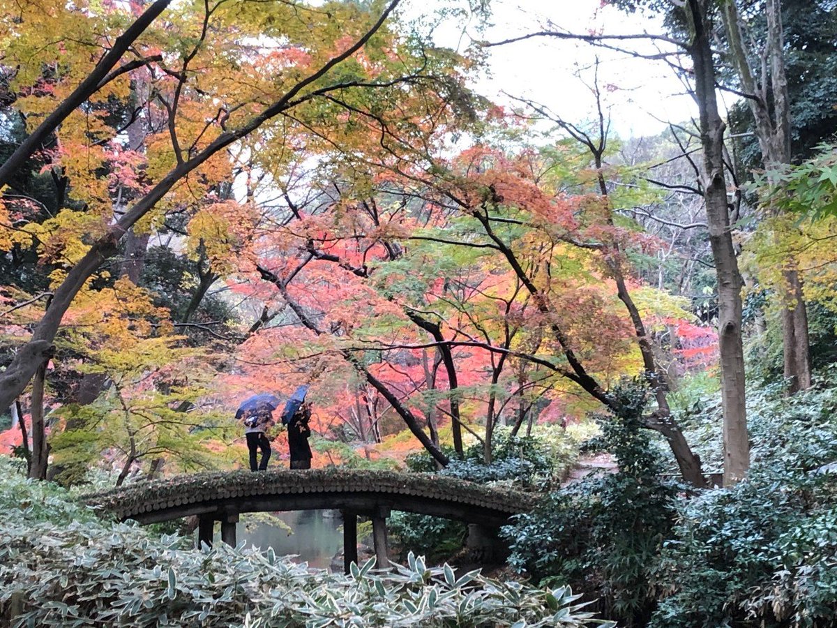 六義園 予約