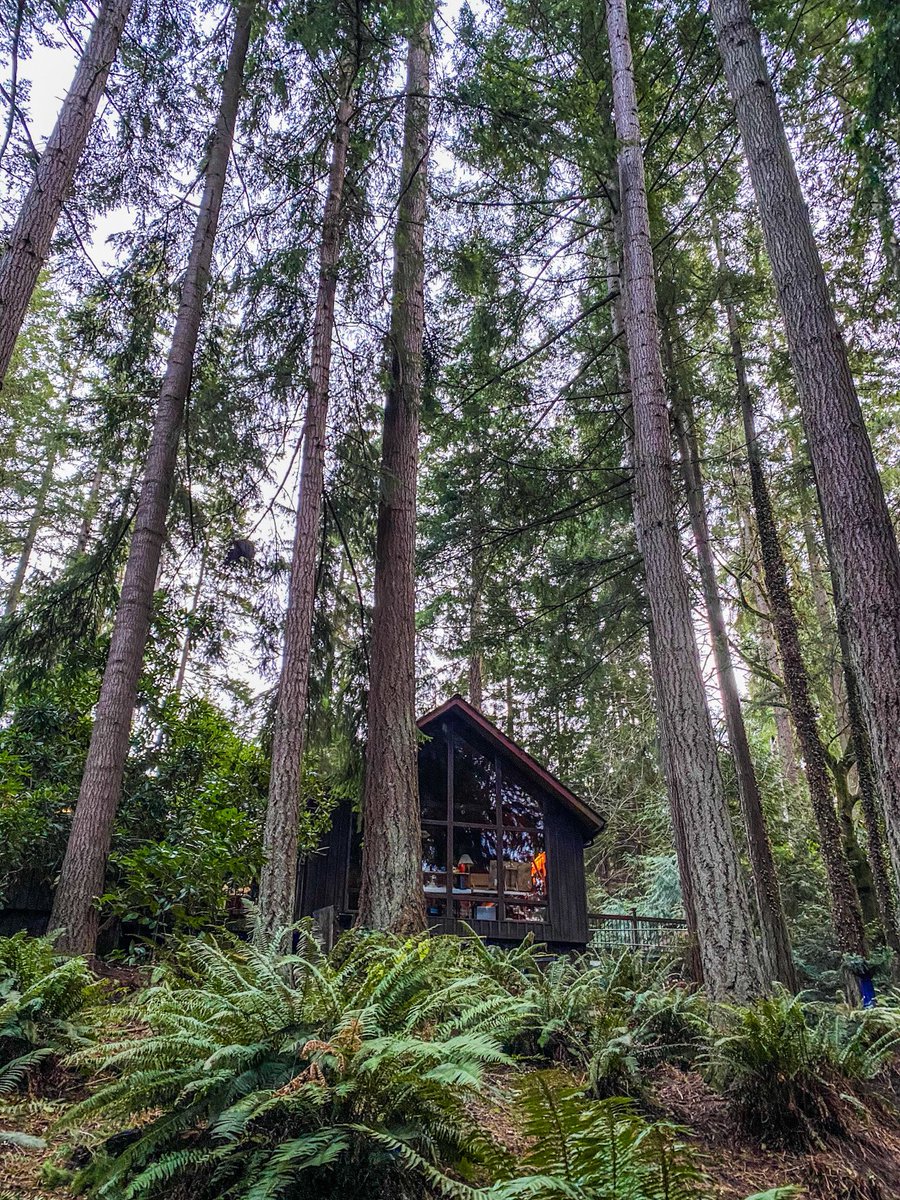 phil_torres's tweet photo. Some personal news- we got our first home! Complete with bookshelves big enough for all my science books, half acre of certified wildlife habitat old growth forest yard, a wild chanterelle mushroom patch out back, and attached to 120+ acres of protected wilderness. 🌿 https://t.co/CjpUi51j7t