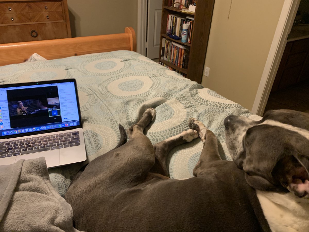 TarverSchool's tweet photo. Hosted our first Pajamas with the Principals virtual movie night!  Great turn out, even dogs joined the fun!  Polar Express was a hit!  #WeAreTarver #bethelight https://t.co/DpMj7UJ7KB
