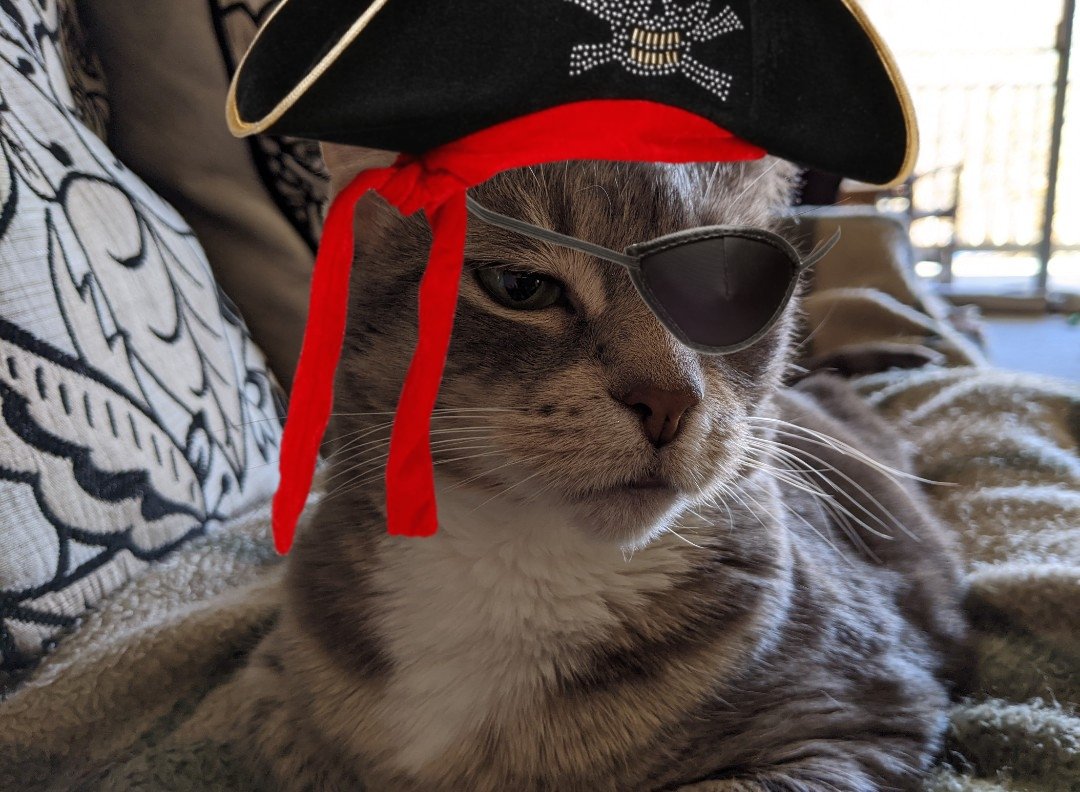 Mark Ricche tweet media