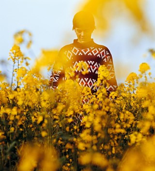 "sunflower vol 6" by harry styles.- a thread about what "vol 6" means