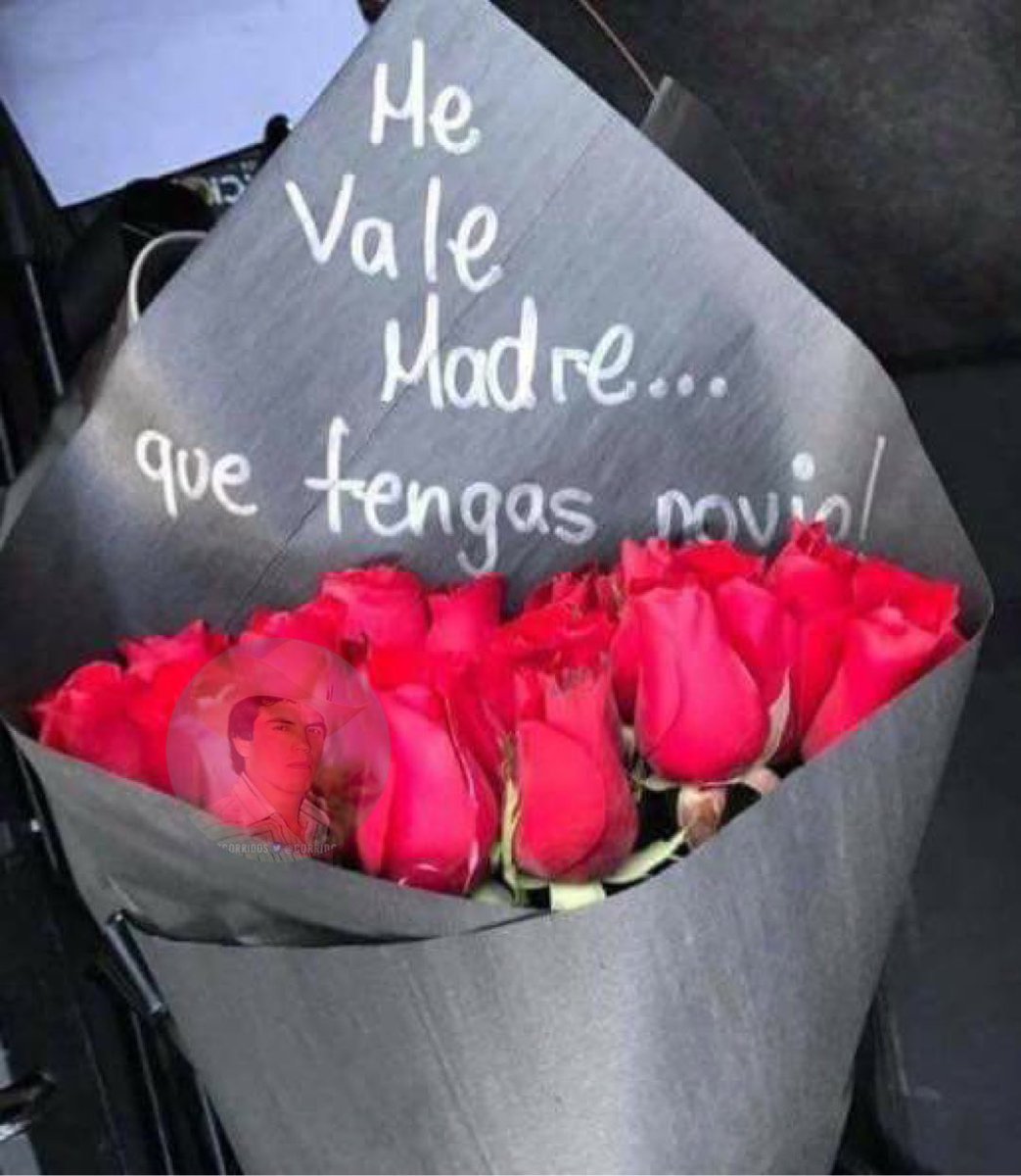 dogs, image size:1043x1200