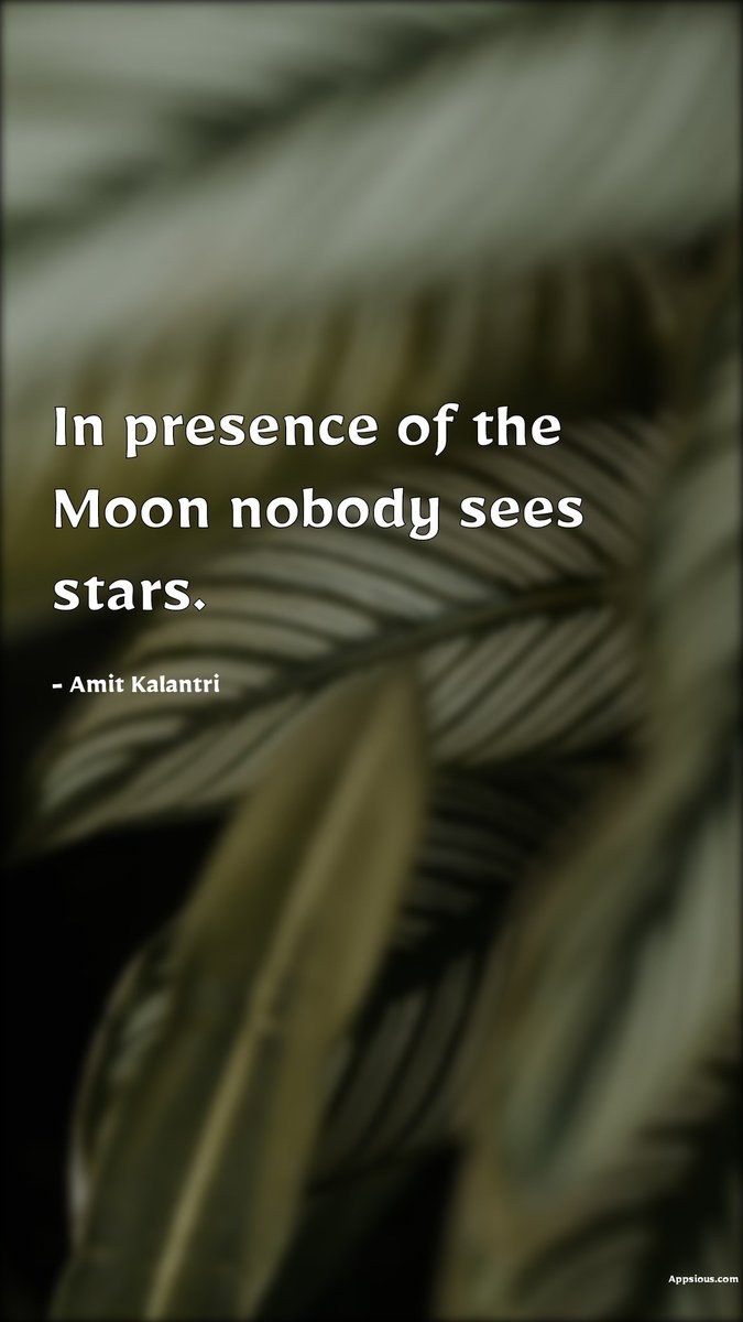 colorxscom's tweet photo. #significance #imortance #significancequotes #moon #star #shortquotes https://t.co/xgG3HFBf2q