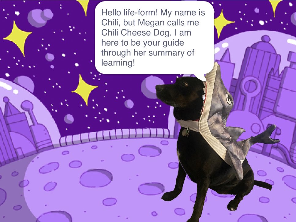 megalindd's tweet photo. Spent the better part of this week learning photoshop so I could use my pets as sprites in my summary of learning. #scratchedu #eci833 https://t.co/xGKfIDHiHt