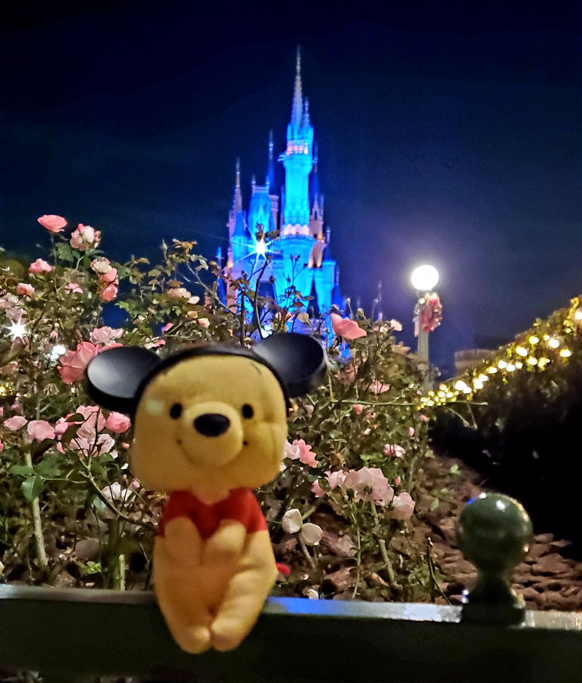 ウォルト ディズニーの誕生日 Twitter Search Twitter