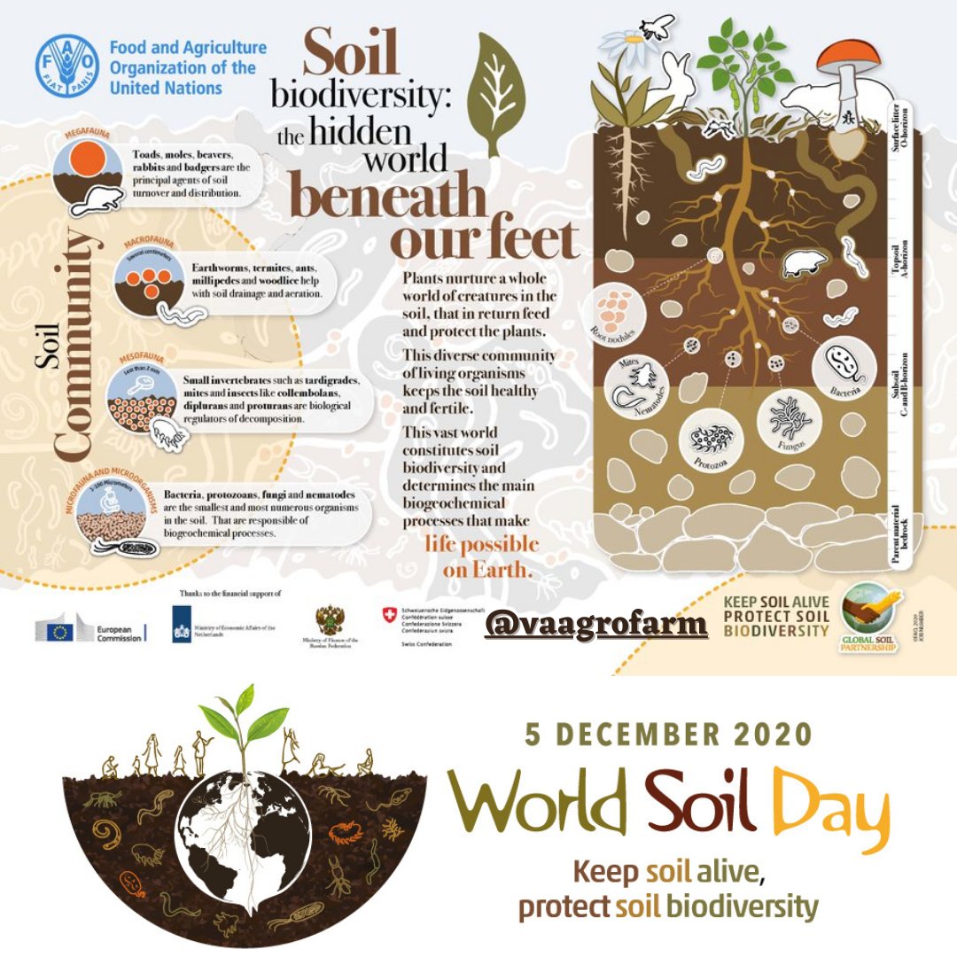 vaagrofarm's tweet photo. Don't forget the things that hold the planet together and gives it life. Celebrate and protect the soil on this World Soil Day. Soil is where life begins. Soil is where food begins.🌱🍃
Don't Panic! Go Organic! @vaagrofarm 🌱 https://t.co/siBnNavKBY