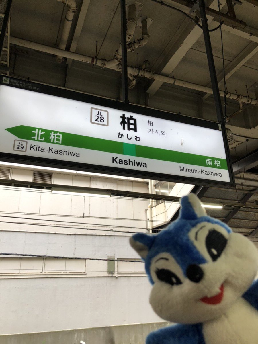 ブルーチップ 公式 今週のチップちゃん Vol 74 1 柏駅でっす W ノ 桃鉄じゃあないよ ぬいどり ぬいぐるみ チップちゃんの沼