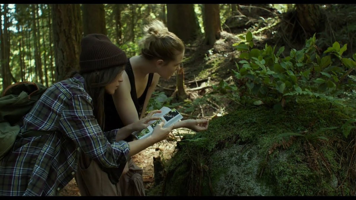Lost in the first. В изоляции (в лесу) [into the Forest, 2015]. Эллен пейдж в лесу.