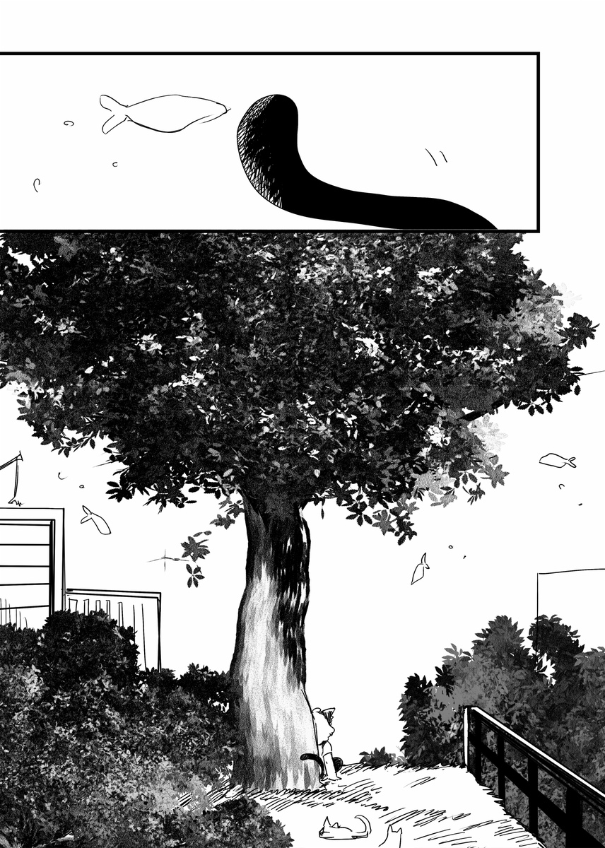 猫がたくさん集まる公園 