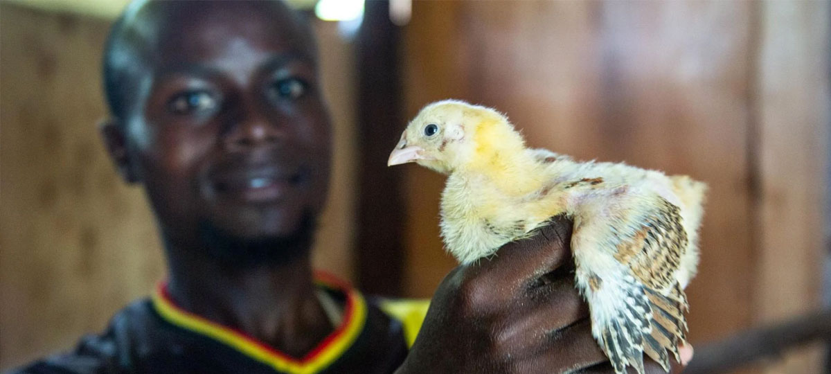 ¡Ya está aquí la Nueva Campaña Anual de <a href="/worldbuilders/">Worldbuilders</a> y <a href="/PatrickRothfuss/">Pat Rothfuss</a>! Vuelve con la Lotería, las Subastas y nuevos artículos de oferta en <a href="/WBMarket_/">Worldbuilders Market</a>

rocadeguia.com/2020/12/nueva-…