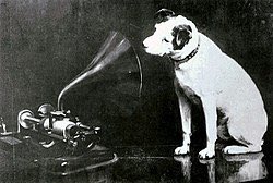 iainkey's tweet photo. How it started/how itโs going... #musicalpets @hmvtweets https://t.co/uMTJs9qJbW