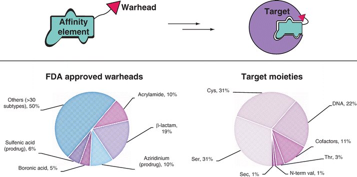 Elena De Vita Elena De Vita Twitter