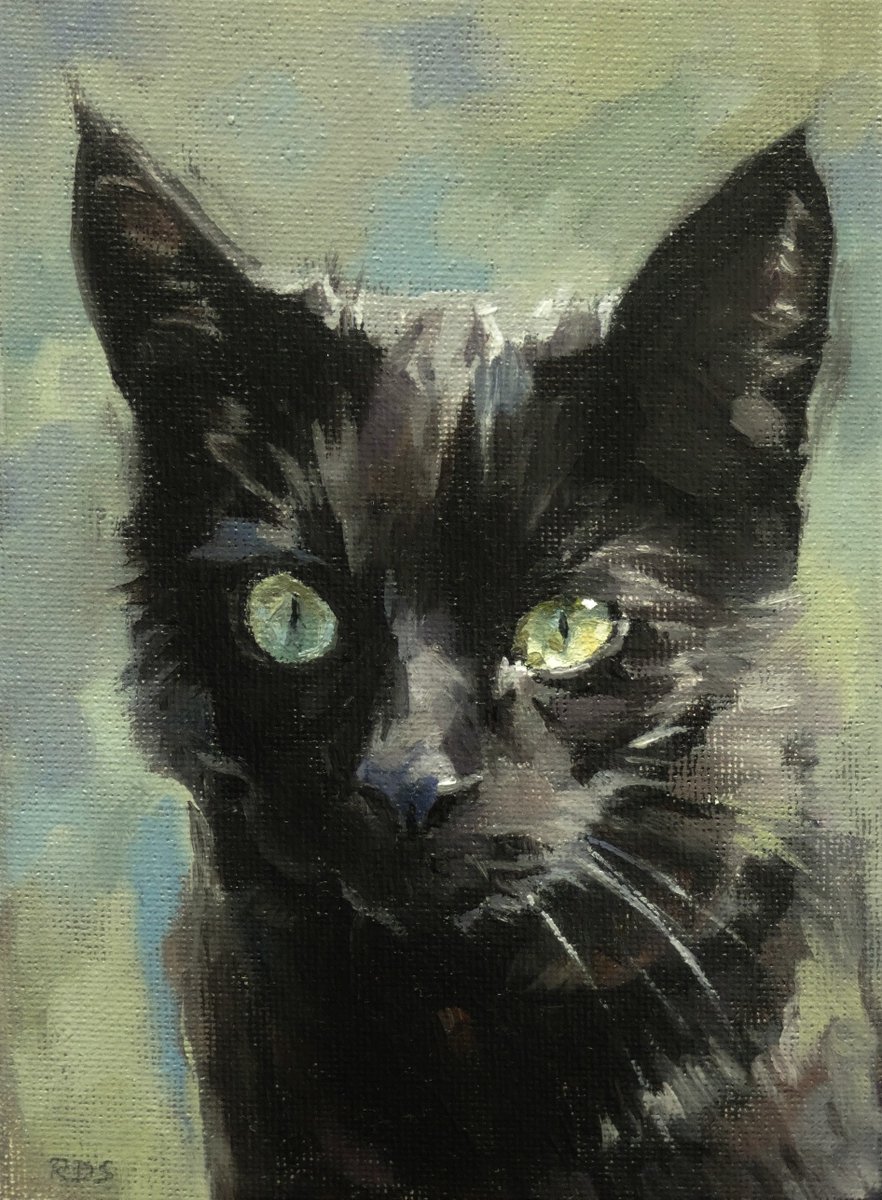 This beautiful little oil on canvas by Richard Swann is titled Green Eyes. Currently available at <a href="/SussexFraming/">SussexFramingCentre</a> in #Hastings and online here alteregogallery.co.uk/product/green-…  Christmas pressie anyone? Ho Ho Ho! #1066Country