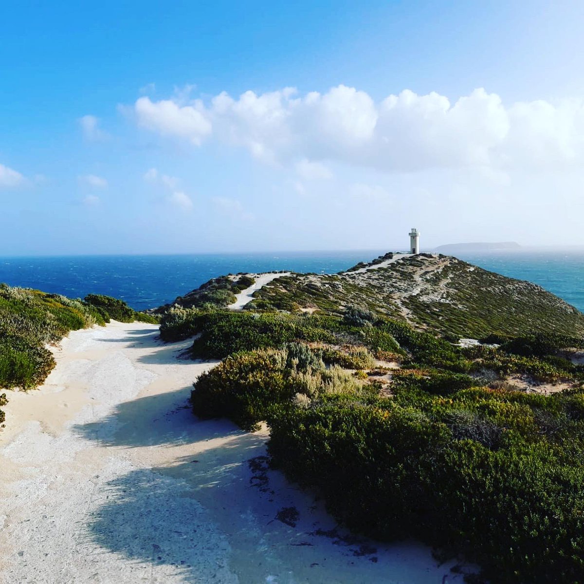 HelenaWu86's tweet photo. ... and arguably has some of the best #coastline views of #southaustralia... #innesnationalpark #yorkepeninsula #seesouthaustralia #thecoastalway #lighthousewalk #jettywalk https://t.co/JHKTBjY0tD