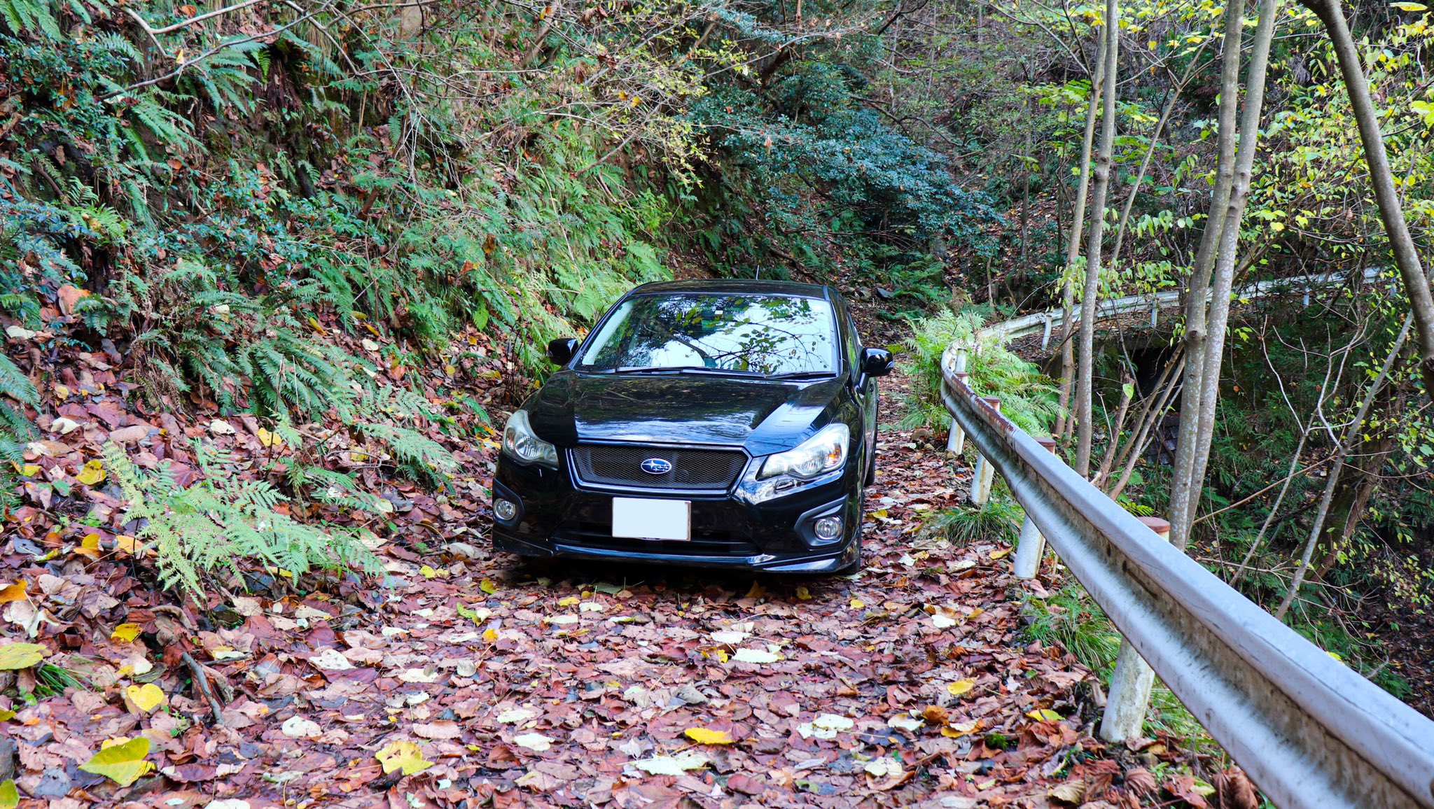 Shoki 生存報告はアテンザオーナーの紳士に任せておりましたので帰宅後の投稿です おにゅう峠 若狭林道 R162旧道 廃村 のプランでした 天気にも恵まれ 海を見ながら鯖寿司を食べ アテンザのお尻を眺めながらのドライブは最高でしたね T Co