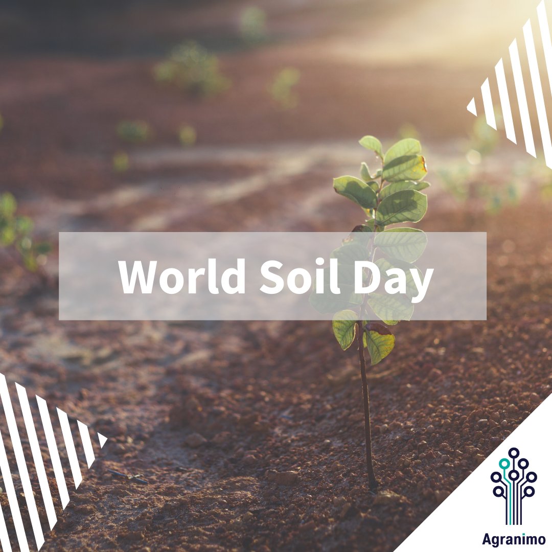 World Soil Day (WSD) is held annually on 5 December as a means to focus attention on the importance of healthy soil and to advocate for the sustainable management of soil resources.
#soil #soilhealth #AgTech #FoodTech #soilsensor
